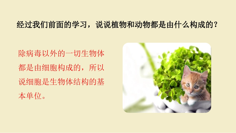 《细胞是生命活动的单位》PPT课件[北师大版七年级生物上册]_第2页