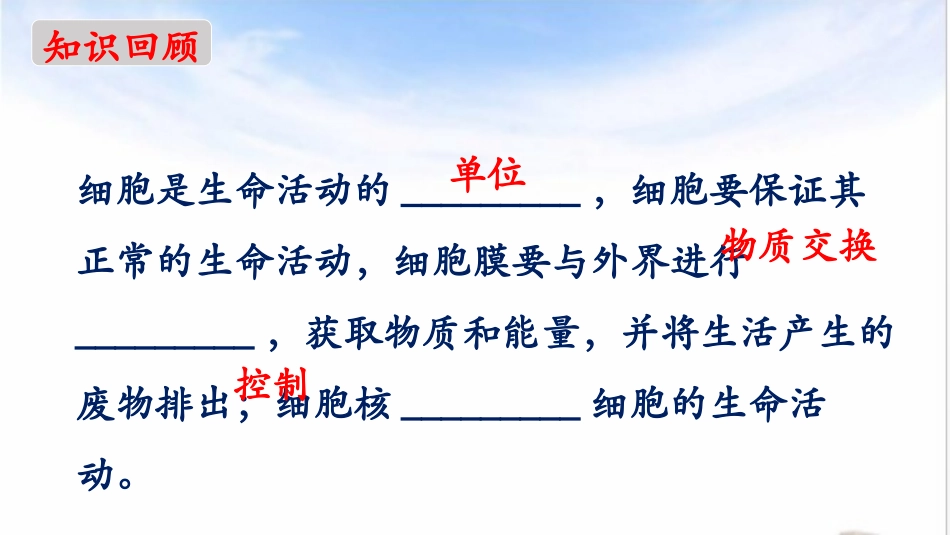 《细胞通过分裂而增殖》PPT课件[北师大版七年级生物上册]_第2页