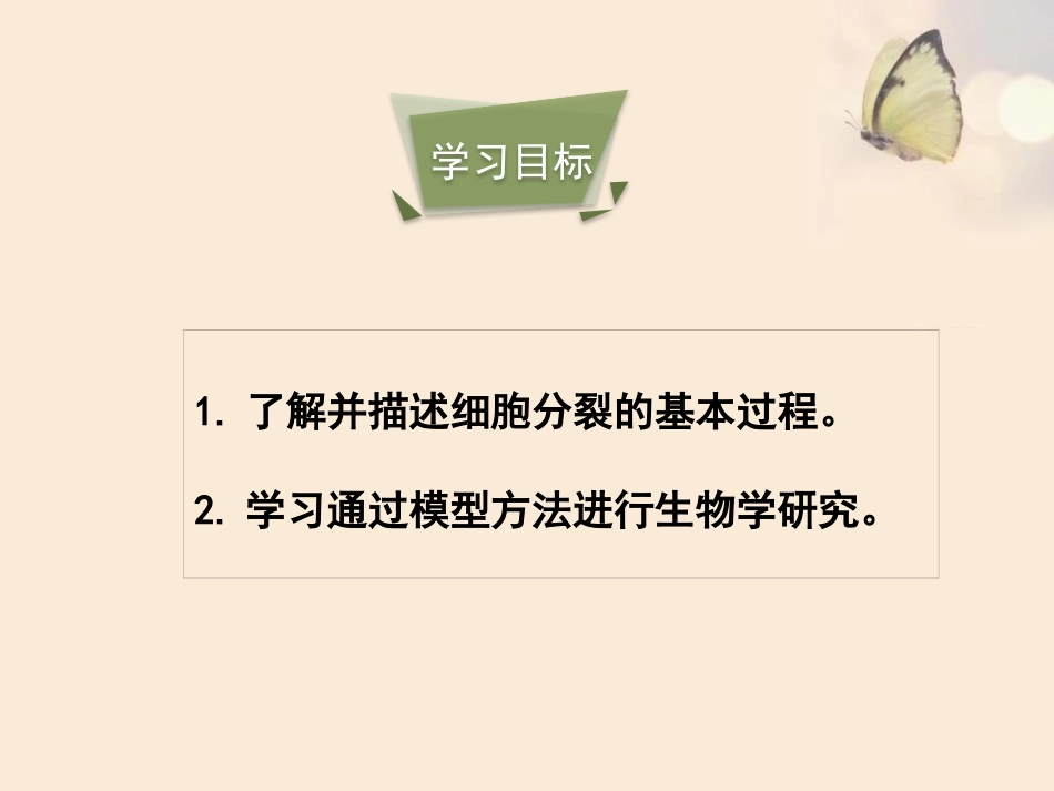 《细胞通过分裂而增殖》PPT教学课件[北师大版七年级生物]_第2页