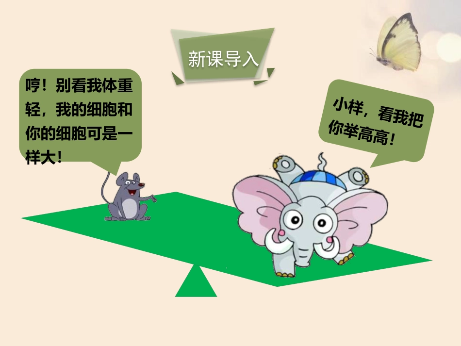 《细胞通过分裂而增殖》PPT教学课件[北师大版七年级生物]_第3页