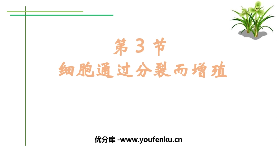 《细胞通过分裂而增殖》PPT课件[北师大版七年级生物上册]_第1页