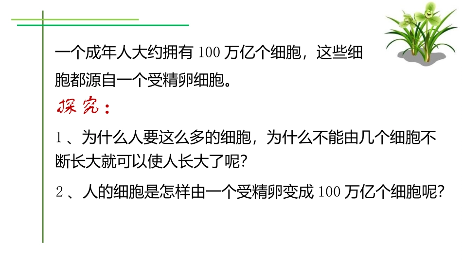 《细胞通过分裂而增殖》PPT课件[北师大版七年级生物上册]_第3页
