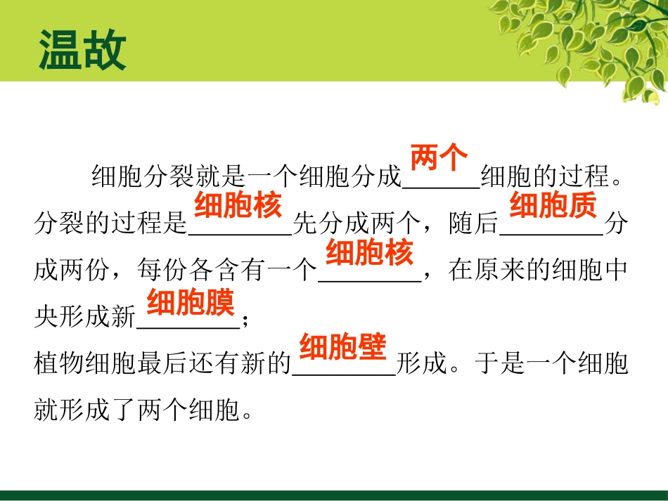 《细胞分化形成组织》PPT教学课件[北师大版七年级生物上册]_第2页