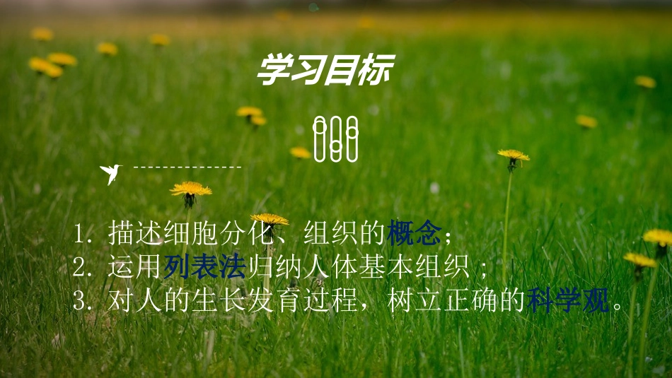 《细胞分化形成组织》PPT课件[北师大版七年级生物上册]_第3页
