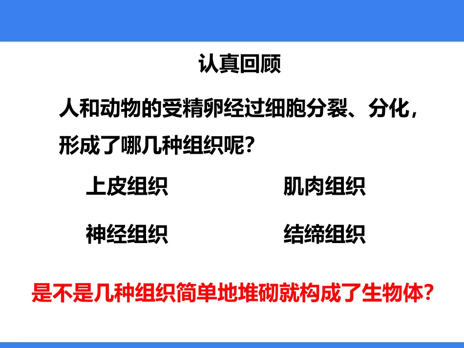 《生物体的器官、系统》PPT课件[北师大版七年级生物上册]_第2页