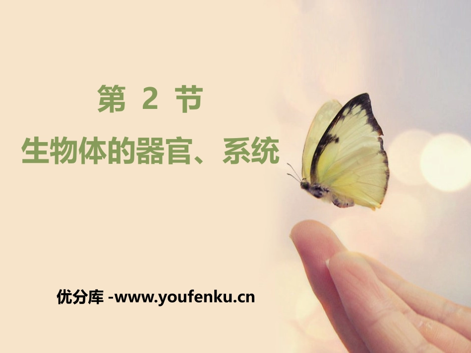 《生物体的器官、系统》PPT教学课件[北师大版七年级生物]_第1页