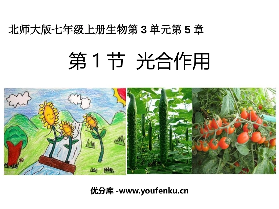《光合作用》PPT教学课件[北师大版七年级生物上册]_第1页