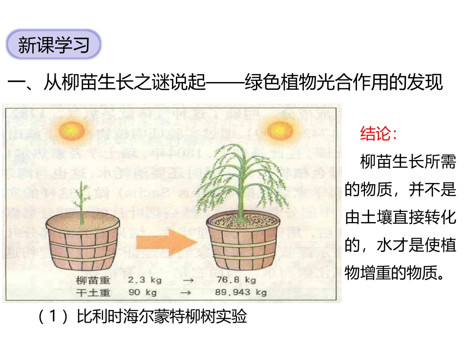 《光合作用》PPT教学课件[北师大版七年级生物上册]_第3页