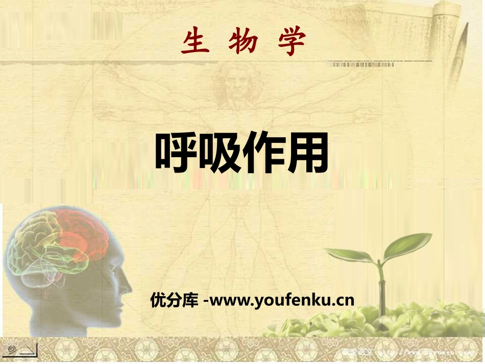 《呼吸作用》PPT课件[北师大版七年级生物上册]_第1页
