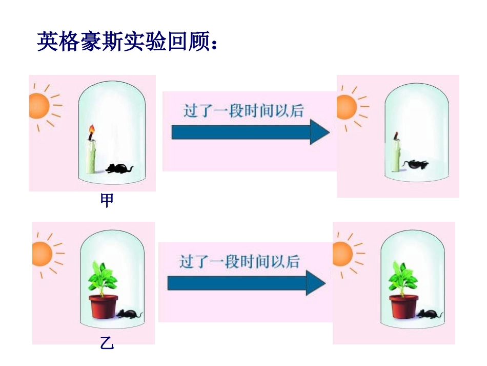《呼吸作用》PPT课件[北师大版七年级生物上册]_第2页