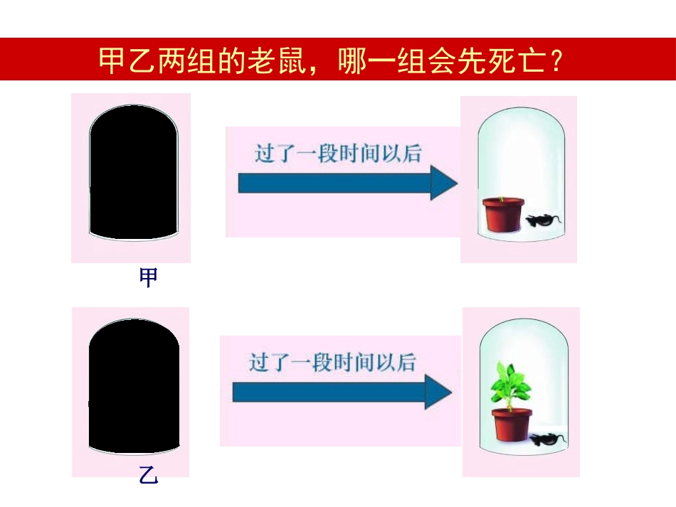 《呼吸作用》PPT课件[北师大版七年级生物上册]_第3页