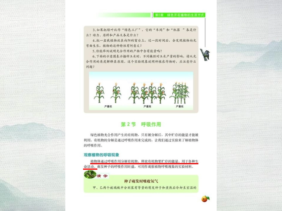 《呼吸作用》PPT教学课件[北师大版七年级生物上册]_第2页