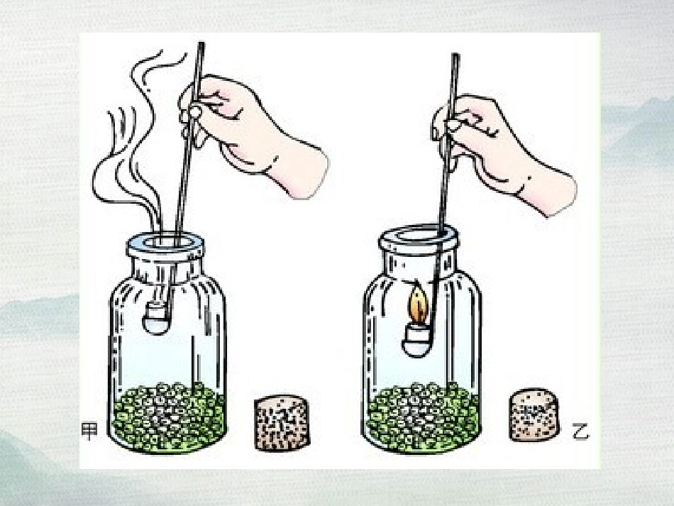 《呼吸作用》PPT教学课件[北师大版七年级生物上册]_第3页