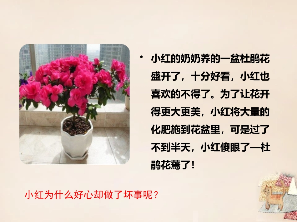 《吸收作用》PPT课件[北师大版七年级生物上册]_第2页