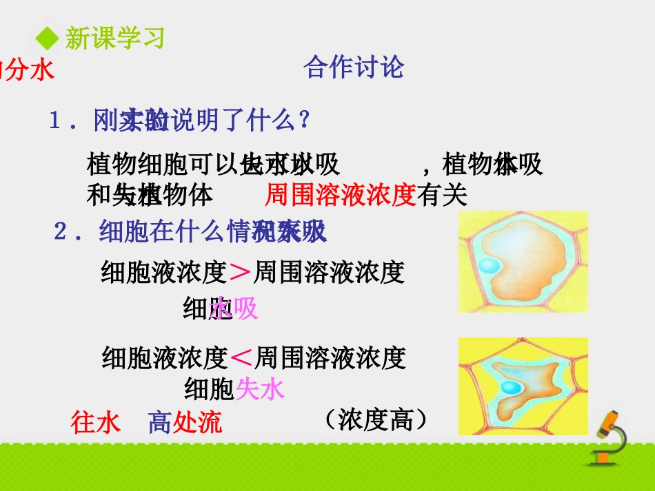《吸收作用》PPT教学课件[北师大版七年级生物上册]_第3页