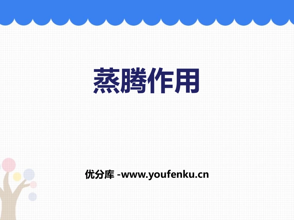 《蒸腾作用》PPT教学课件[北师大版七年级生物上册]_第1页