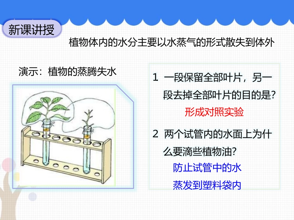 《蒸腾作用》PPT教学课件[北师大版七年级生物上册]_第2页