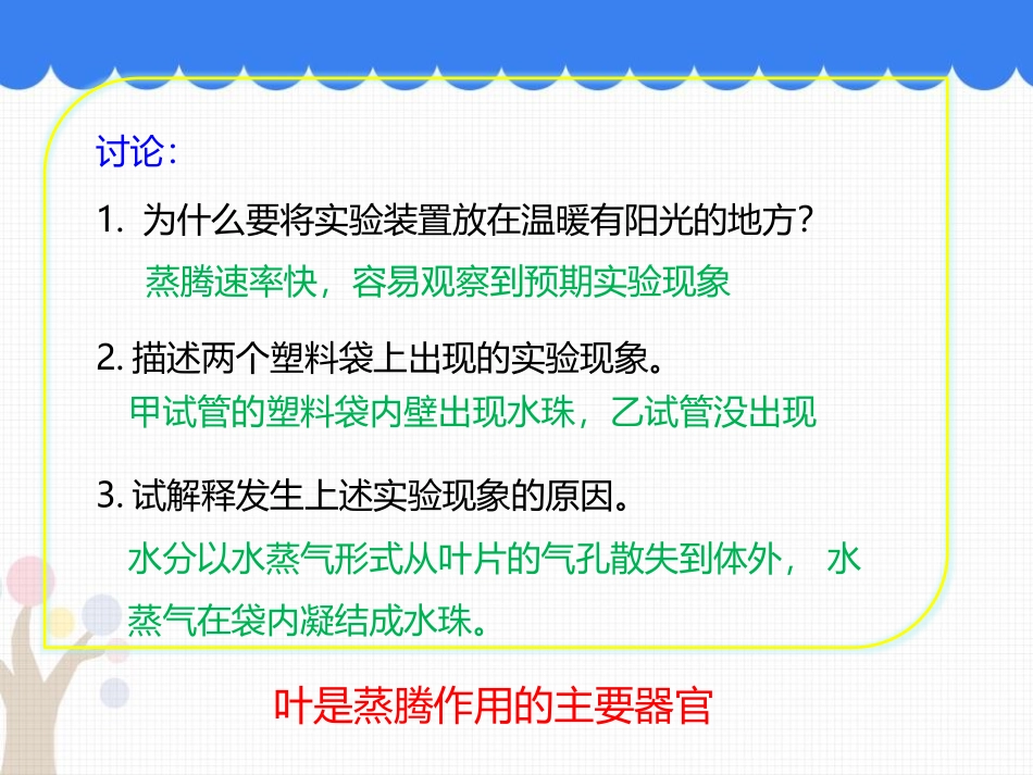 《蒸腾作用》PPT教学课件[北师大版七年级生物上册]_第3页