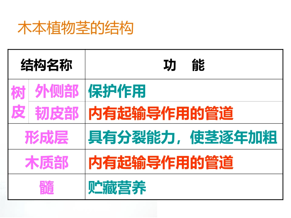 《运输作用》PPT教学课件[北师大版七年级生物上册]_第3页