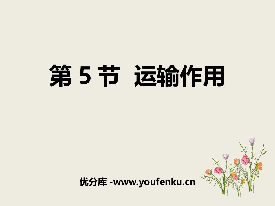 《运输作用》PPT课件[北师大版七年级生物上册]_第1页