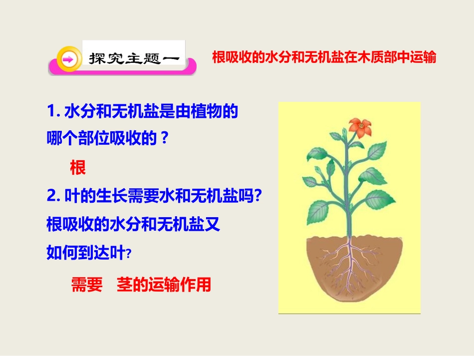 《运输作用》PPT课件[北师大版七年级生物上册]_第2页