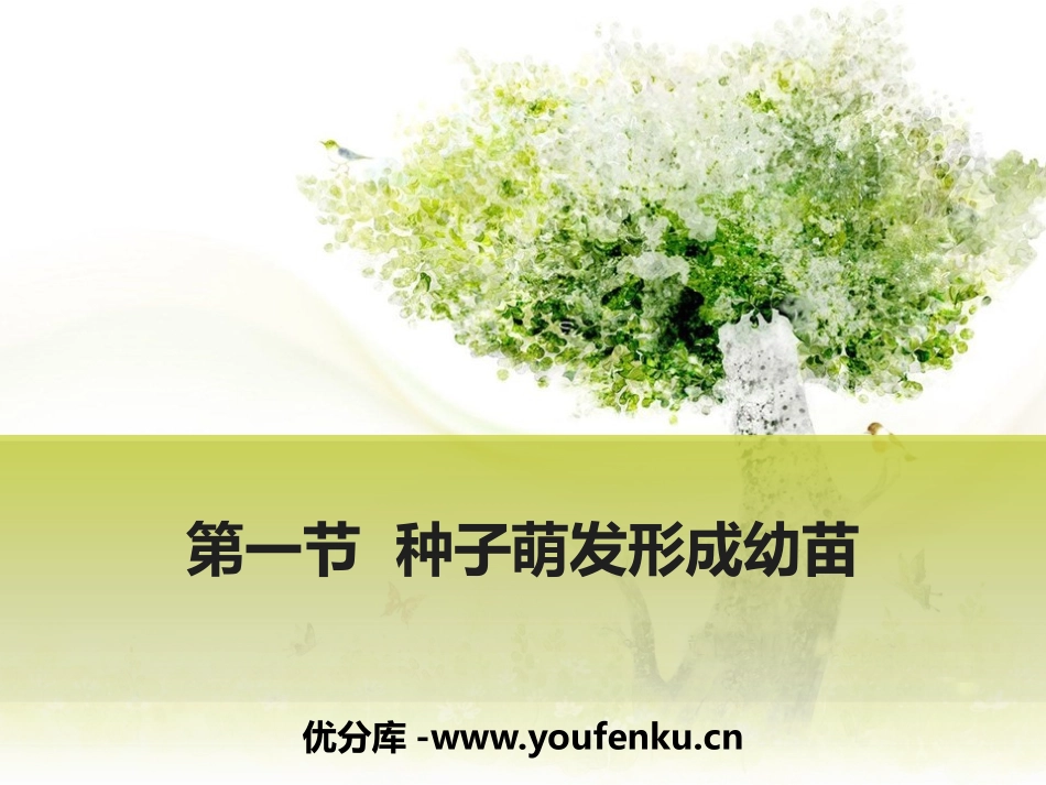 《种子萌发形成幼苗》PPT教学课件[北师大版七年级生物上册]_第1页