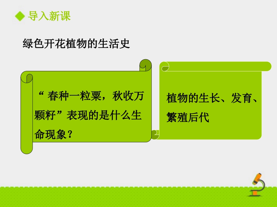 《种子萌发形成幼苗》PPT课件[北师大版七年级生物上册]_第2页