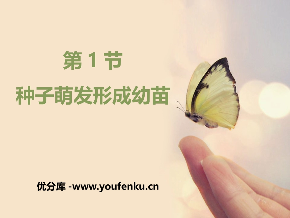 《种子萌发形成幼苗》PPT免费课件[北师大版七年级生物上册]_第1页