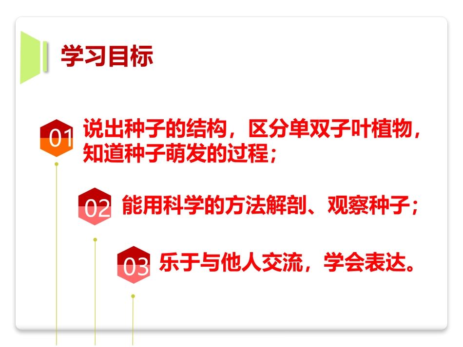 《种子萌发形成幼苗》PPT优质课件[北师大版七年级生物上册]_第2页