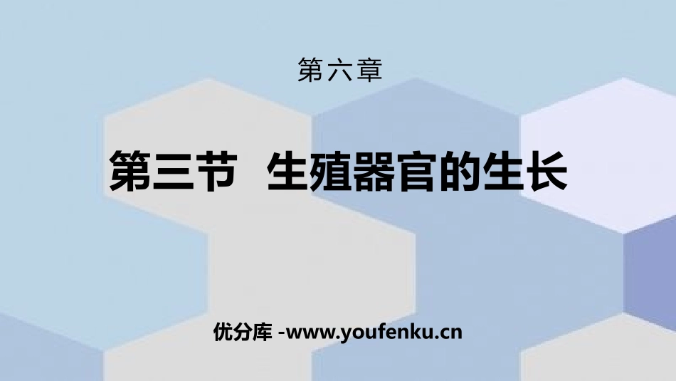 《生殖器官的生长》PPT课件[北师大版七年级生物上册]_第1页