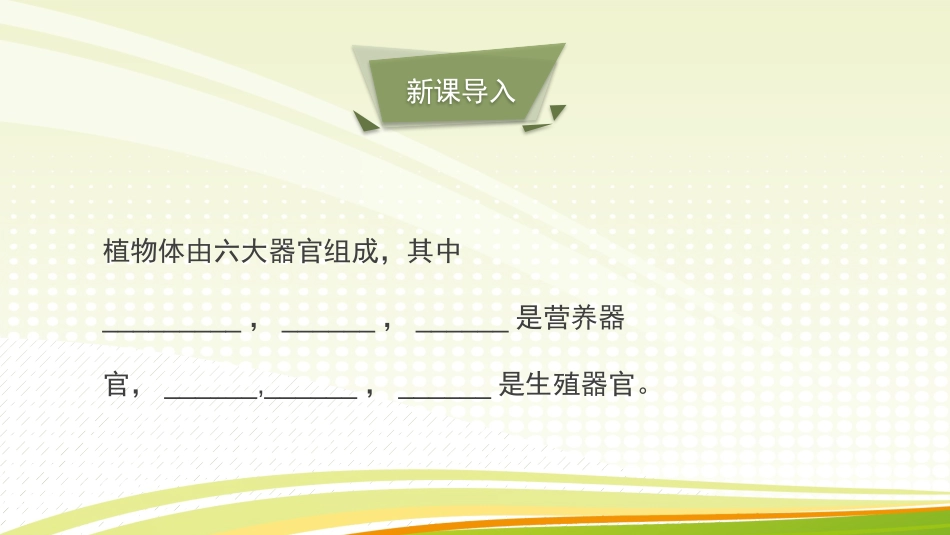 《生殖器官的生长》PPT教学课件[北师大版七年级生物上册]_第2页