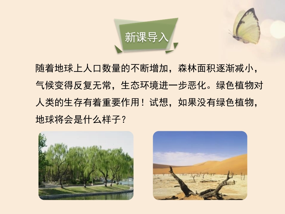 《绿色植物在生物圈中的作用》PPT教学课件[北师大版七年级生物]_第3页