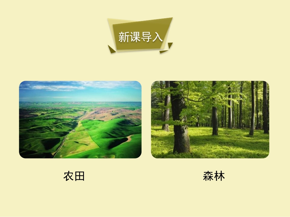 《我国的植物资源》PPT课件[北师大版七年级生物上册]_第3页