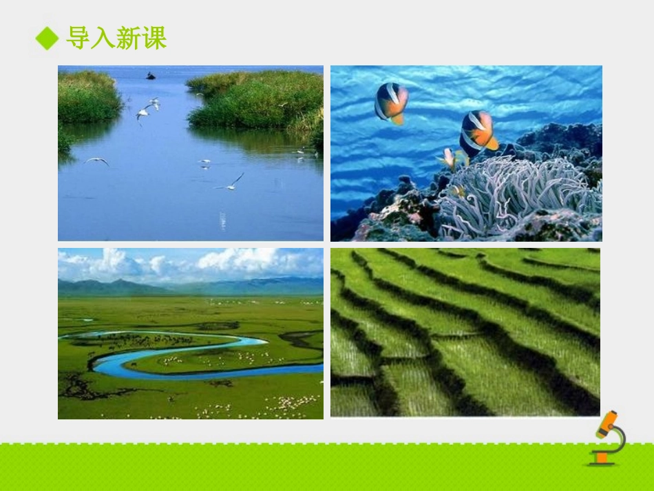 《我国的植物资源》PPT教学课件[北师大版七年级生物上册]_第2页