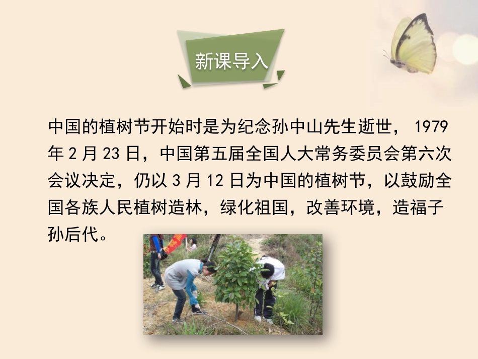 《我国的绿色生态工程》PPT课件[北师大版七年级生物上册]_第2页