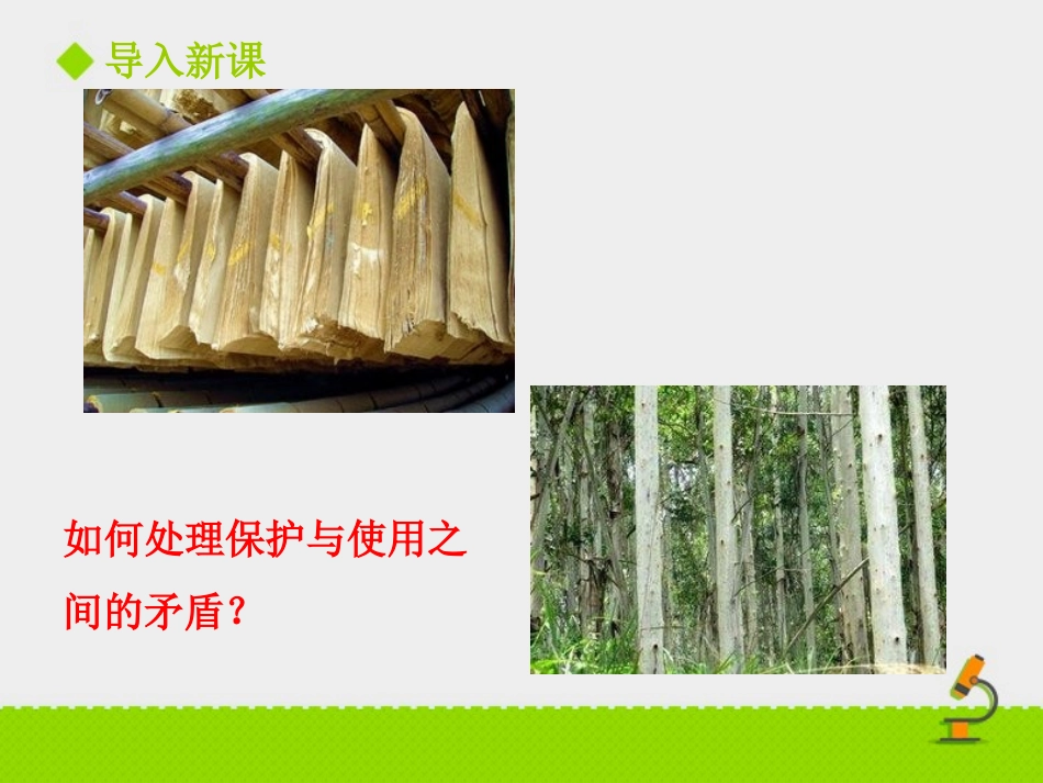 《我国的绿色生态工程》PPT教学课件[北师大版七年级生物]_第2页
