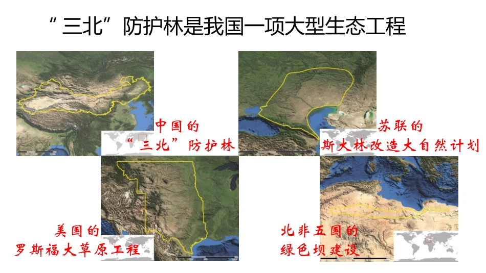 《我国的绿色生态工程》PPT课件[北师大版七年级生物上册]_第2页
