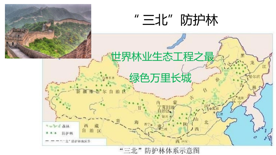 《我国的绿色生态工程》PPT课件[北师大版七年级生物上册]_第3页