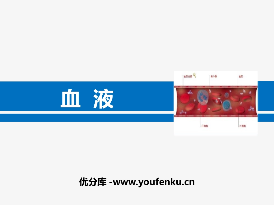 《血液》PPT教学课件[北师大版七年级生物下册]_第1页
