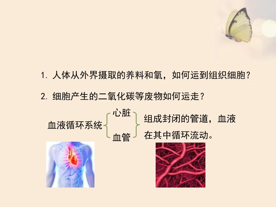 《血液》PPT优质课件[北师大版七年级生物下册]_第2页