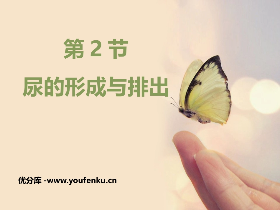 《尿的形成与排出》PPT教学课件[北师大版七年级生物下册]_第1页