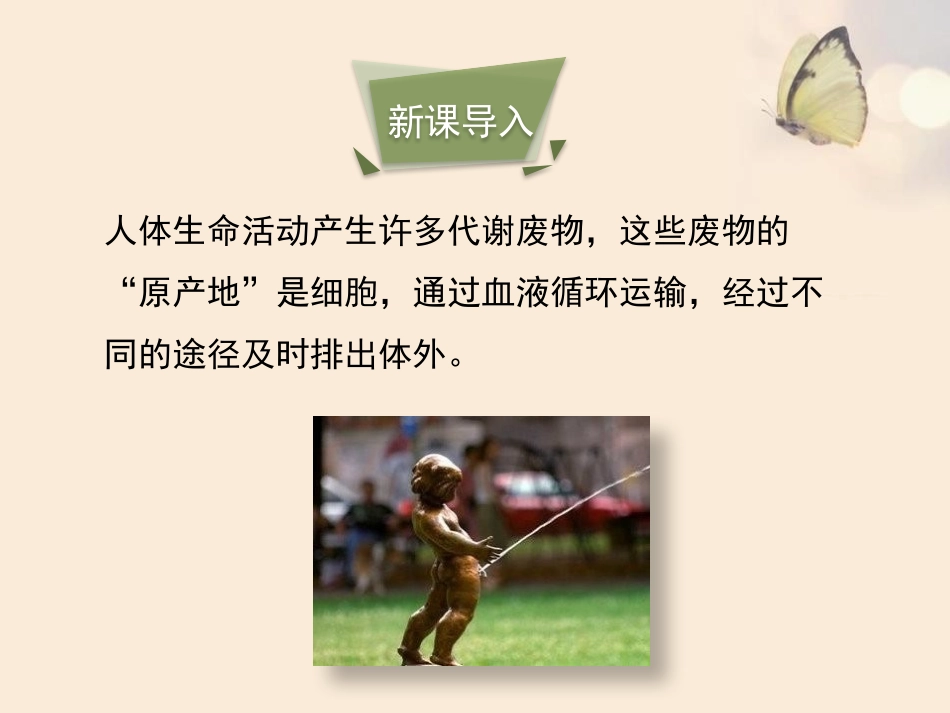 《尿的形成与排出》PPT教学课件[北师大版七年级生物下册]_第3页
