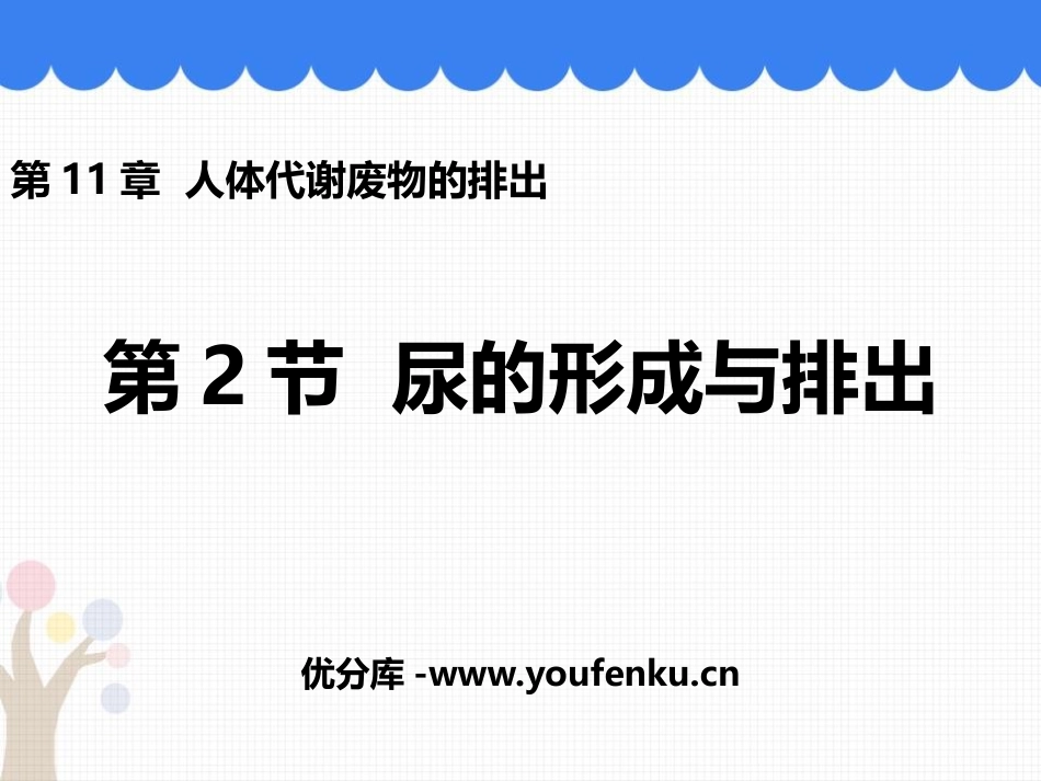 《尿的形成与排出》PPT优质课件[北师大版七年级生物下册]_第1页