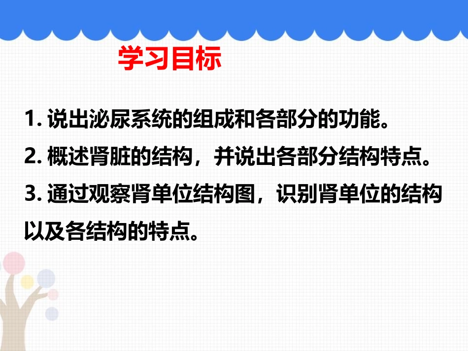 《尿的形成与排出》PPT优质课件[北师大版七年级生物下册]_第2页