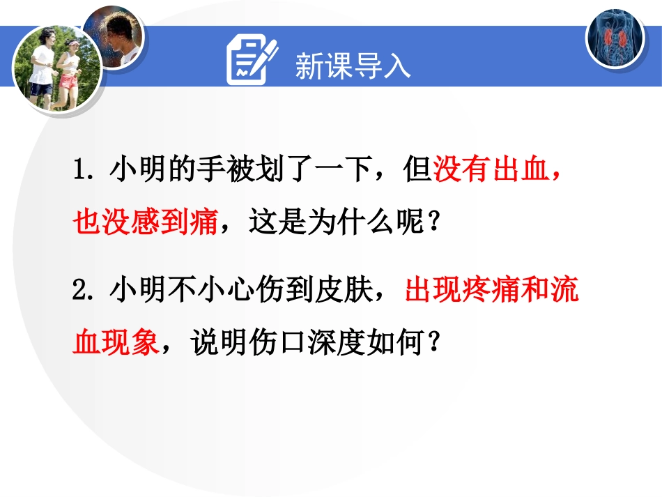 《皮肤与汗液分泌》PPT免费课件[北师大版七年级生物下册]_第1页