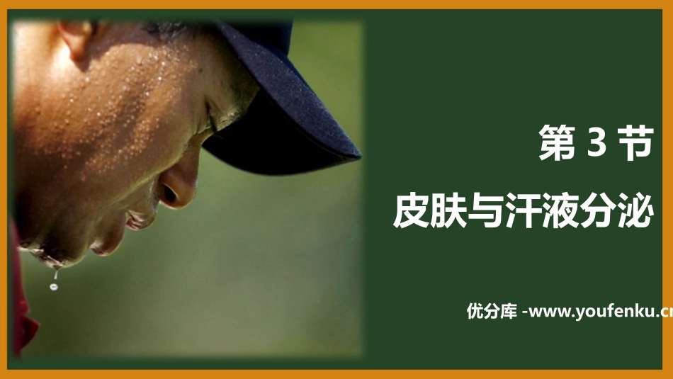 《皮肤与汗液分泌》PPT优质课件[北师大版七年级生物下册]_第1页