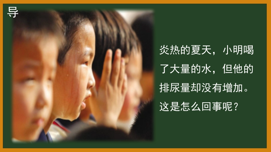 《皮肤与汗液分泌》PPT优质课件[北师大版七年级生物下册]_第2页