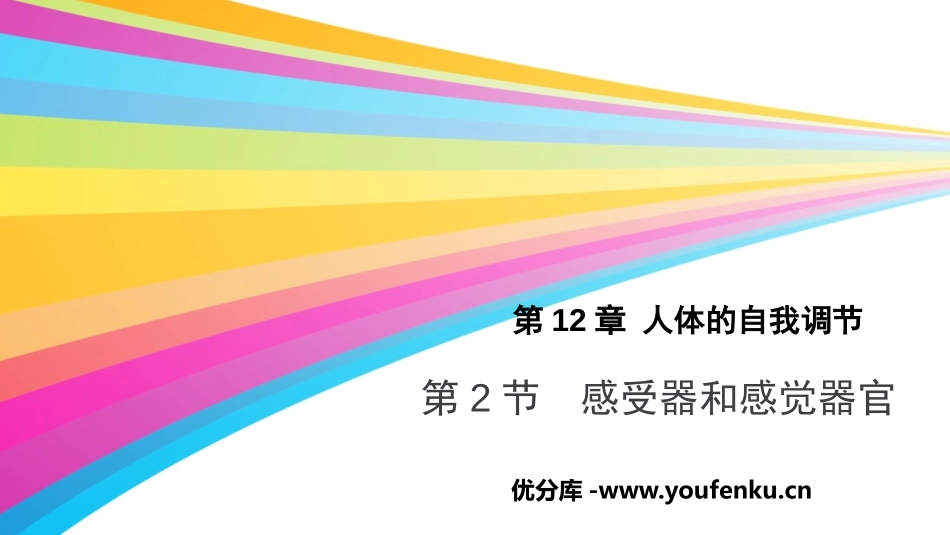 《感受器和感觉器官》PPT教学课件[北师大版七年级生物下册]_第1页