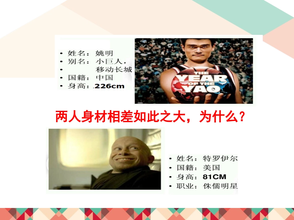 《激素调节》PPT优质课件[北师大版七年级生物下册]_第3页