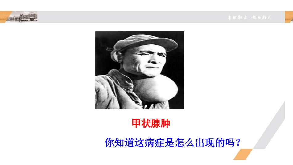 《激素调节》PPT优秀课件[北师大版七年级生物下册]_第2页